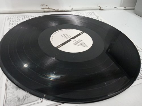 (1LP) Hollerado "Born Yesterday" Vinyl Record image 4