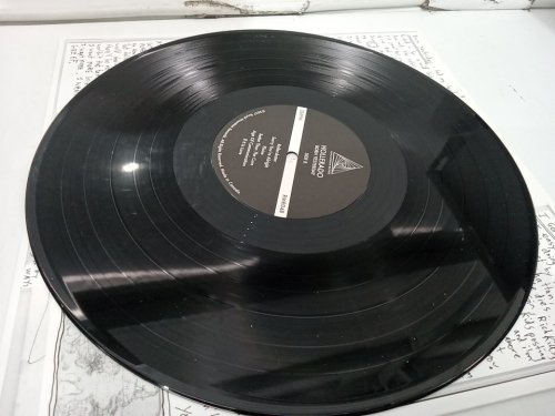 (1LP) Hollerado "Born Yesterday" Vinyl Record image 3