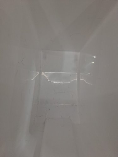 INGREDIANT STORAGE BIN - 15L - WHITE image 5
