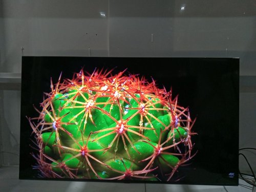 Samsung Neo QLED 4K QN80F Series, Vision AI, Mini LED Smart TV Television with Alexa Built-in - 55" (Model: QN55QN80FAF) image 24