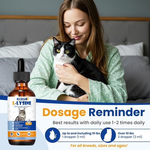 2pk Premium L-Lysine Liquid Drops for Immune Support and Respiratory Health for cats - 60ml/each image 2