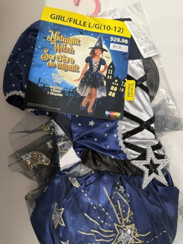2PC GIRLS PALAMON MIDNIGHT WITCH COSTUME - LARGE 10/12 - BLUE/SILVER/GOLD (STYLE: 40971) image 2