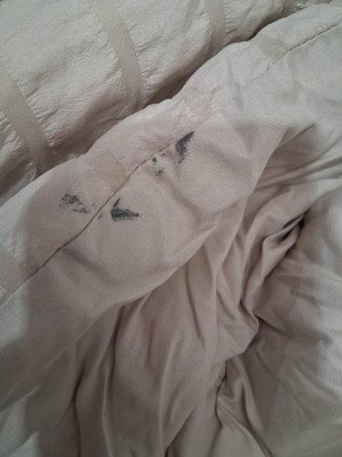 8pc bedding set - comforter fitted and flat sheet and 2 sets of pillowcases - full - beige image 3