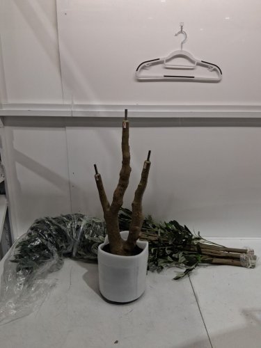 Tall Faux Ficus Plant with Pot - Green/Black (Model: fh-rs180) image 3