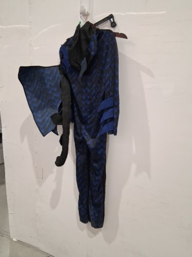 2PC BOYS PARTYHOLIC FEARLESS DRAGON COSTUME - OSFM - BLUE/BLACK (STYLE: 13199) image 2